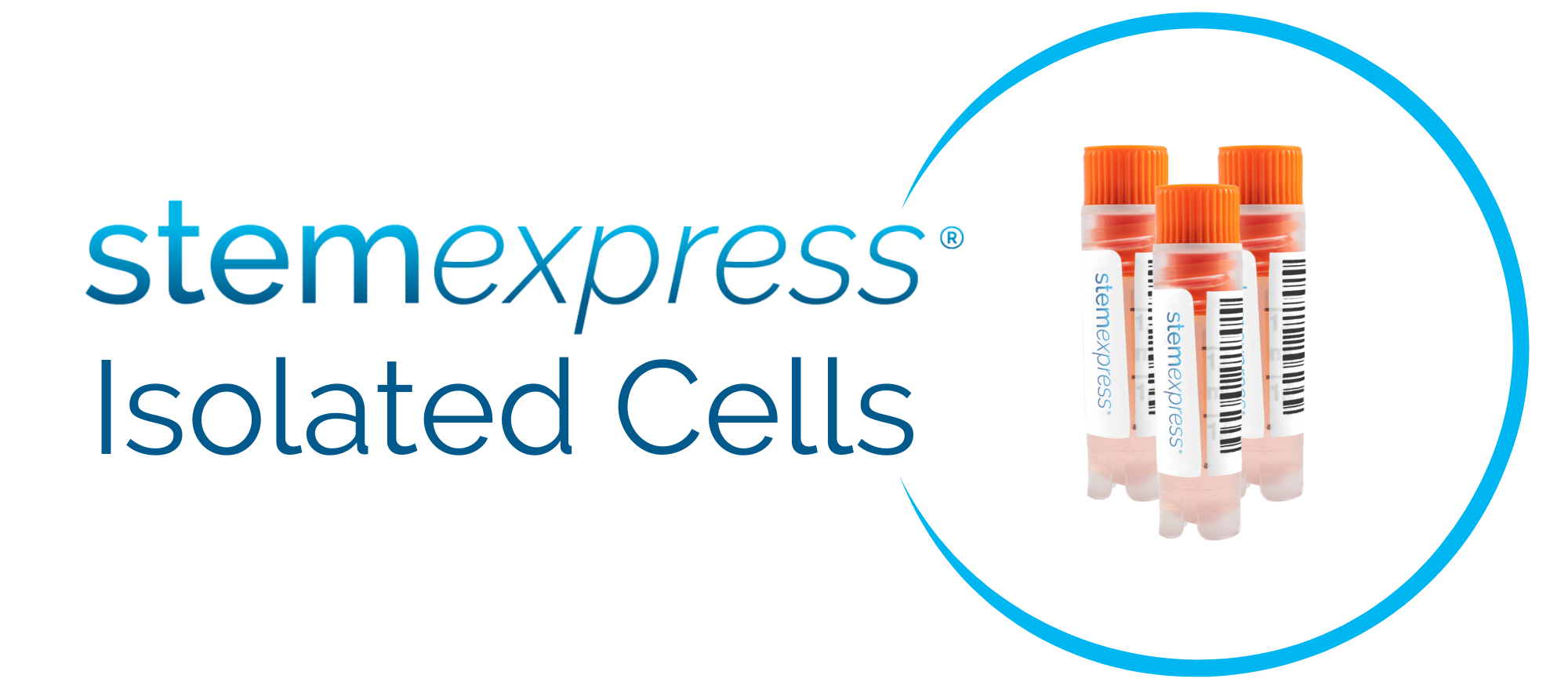 cells express