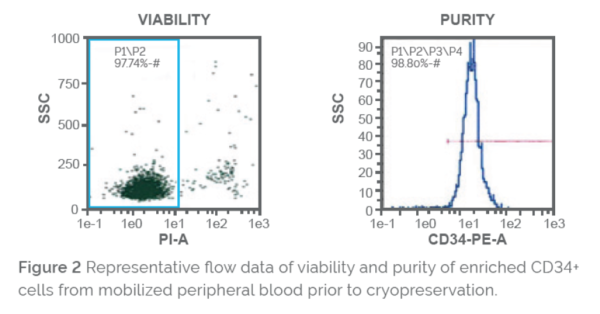 Mobilized cd 34 purity and viability